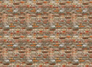 Backstein Brick Wall Wall Mural DS8096