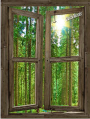 country cabin window