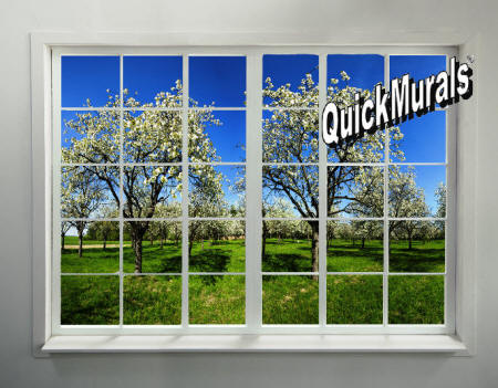 Orchard Window Wall Mural