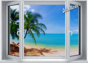 tropical palm #1 window mural