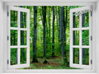 Woodland Forest Instant Window Mural 